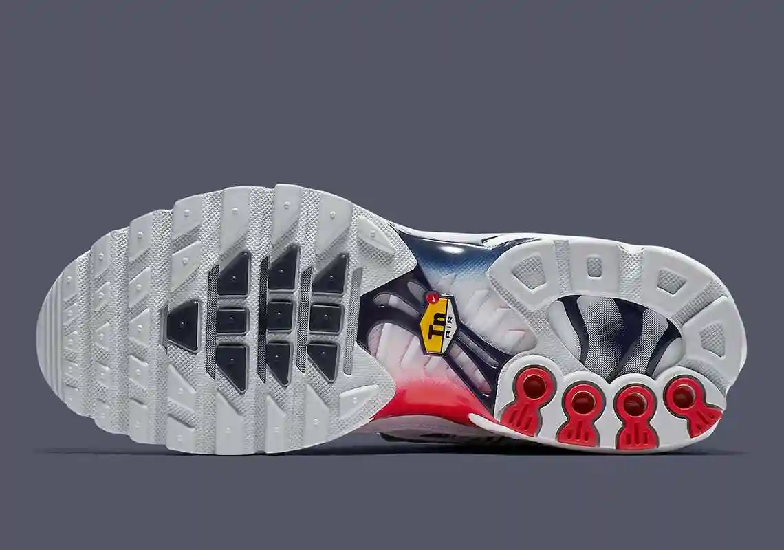 nike-air-max-plus-france-ci9103-100-2.webp