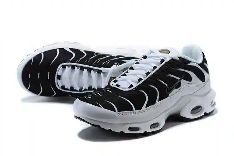 Nike Air Max Plus CT1094-102 40-46 (4).webp