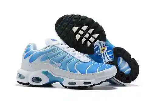 Nike Air Max Plus 40-46 (8)
