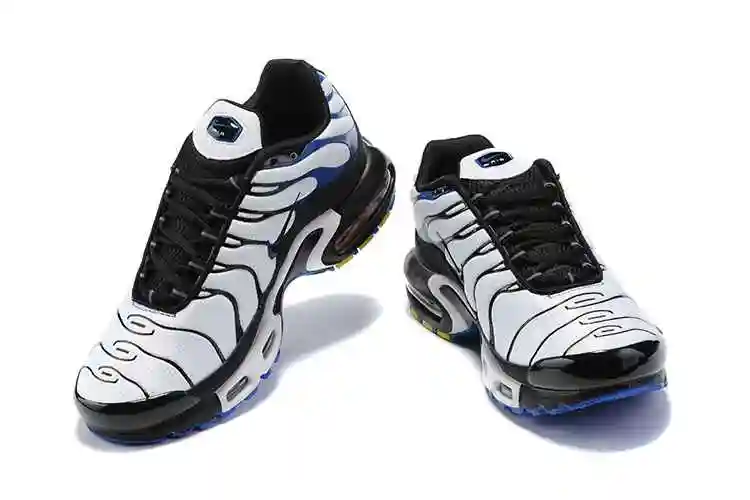 Nike Air Max Plus “Persian Violet” DB0682-100 40-46 (2).webp