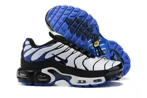 Nike Air Max Plus "Violeta Persa" DB0682-100 40-46