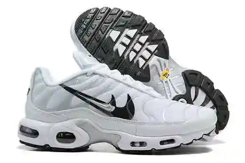 Nike Air Max Plus DV3456-100 40-46