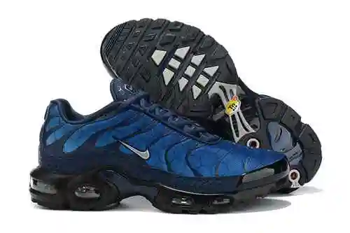 Nike Air Max Plus "Azul Hex" DC1935-400 40-46