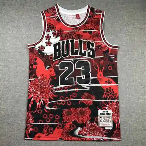 Edición conmemorativa del año del conejo Jordan Bulls 23