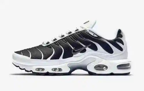 Nike Air Max Plus CT1094-102 40-46