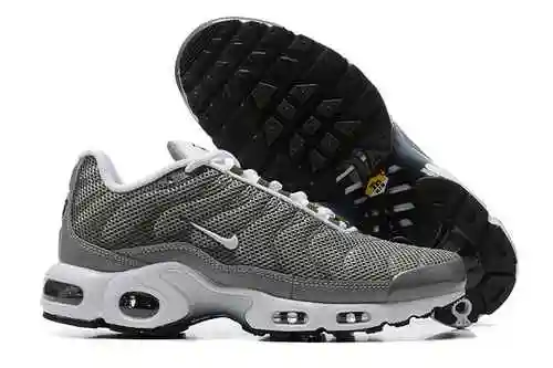 Nike Air Max Plus "Peltre Plano" DV7665-002 40-46