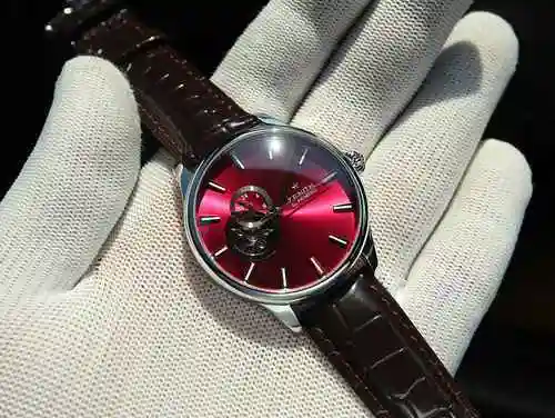 Reloj para hombre Zhenlishi emparejado con movimiento mecánico completamente automático original Caj