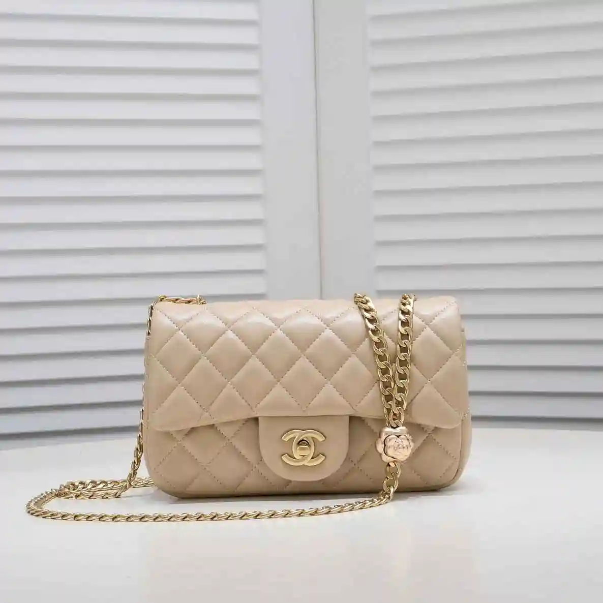 GH002450 (5).webp