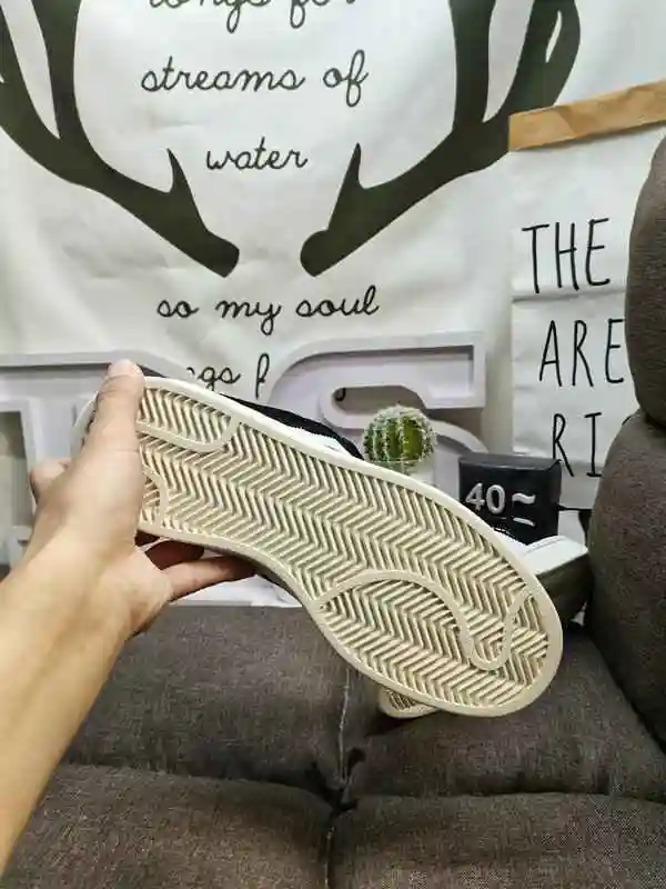 IMG_20230915_220220.webp