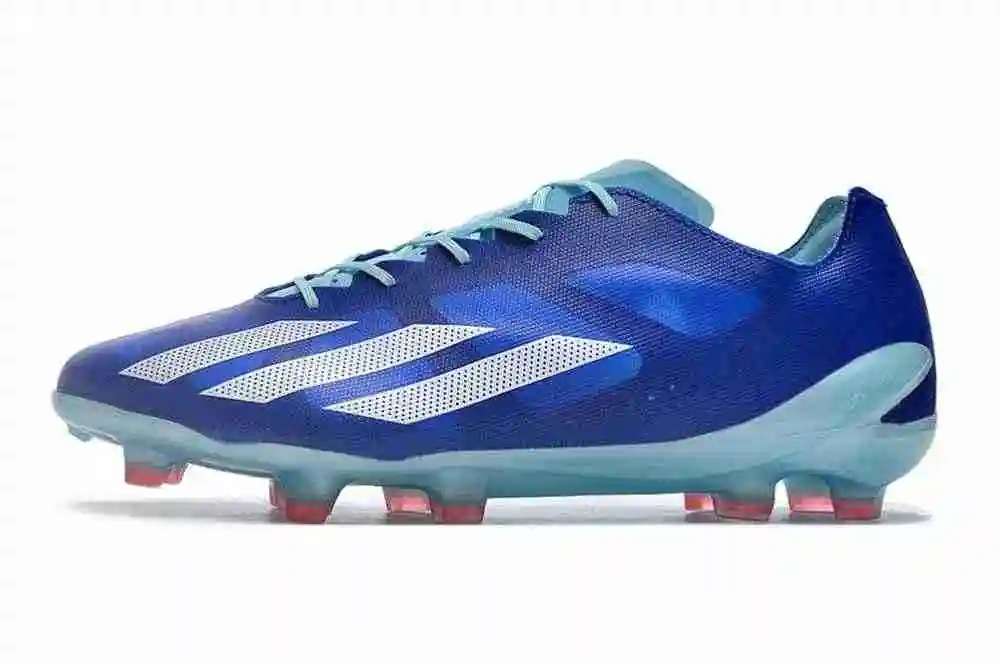DSC_1365.webp