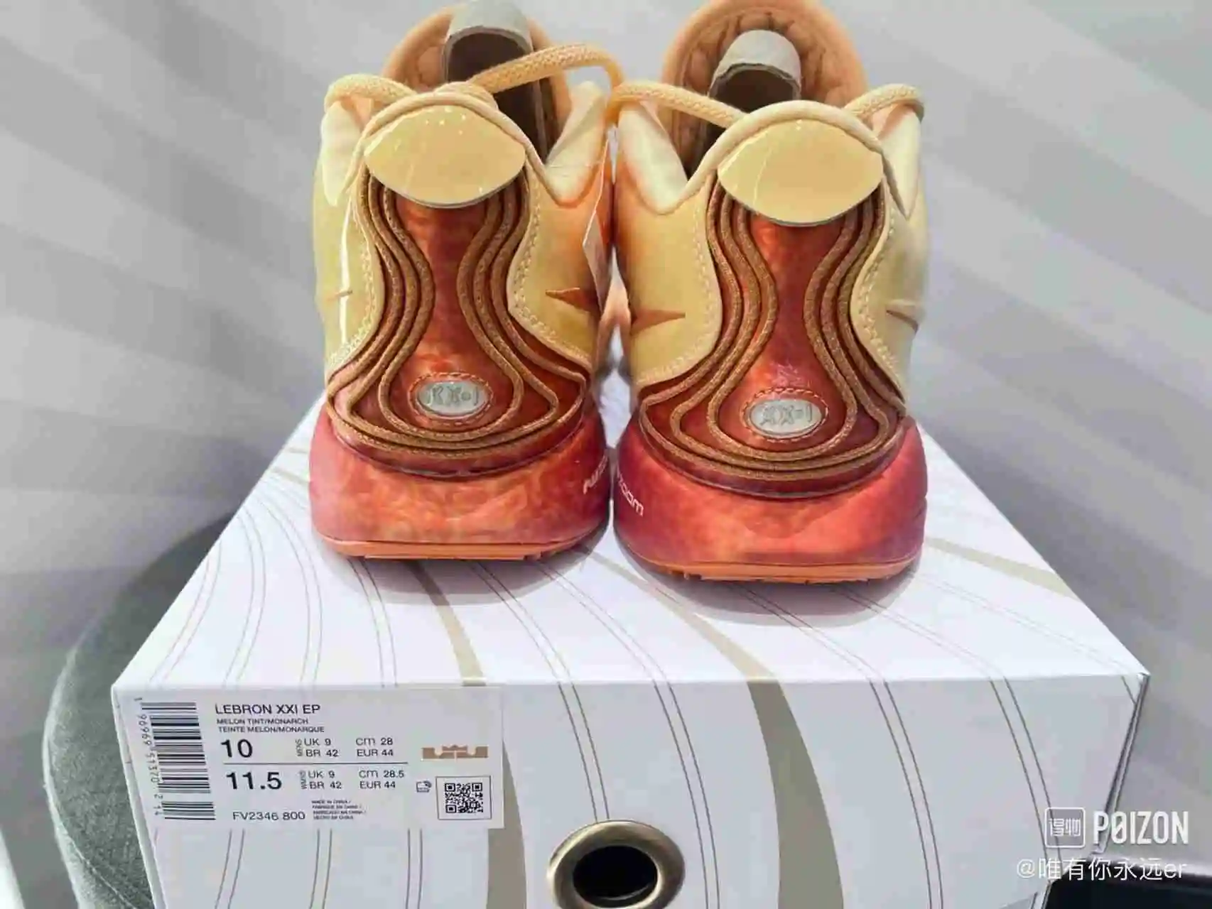 微信图片_20231014033726.webp