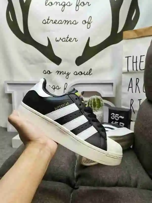 IMG_20231013_213718.webp