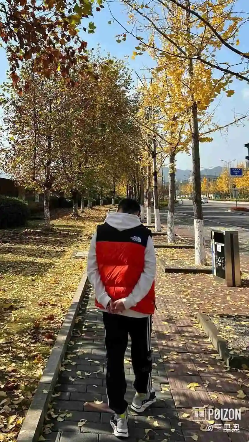 wsxc1698426061633_3.webp