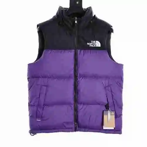 TNF Classic Down Vest