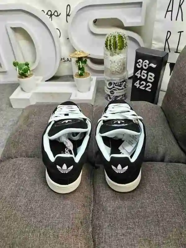 IMG_20231028_000320.webp