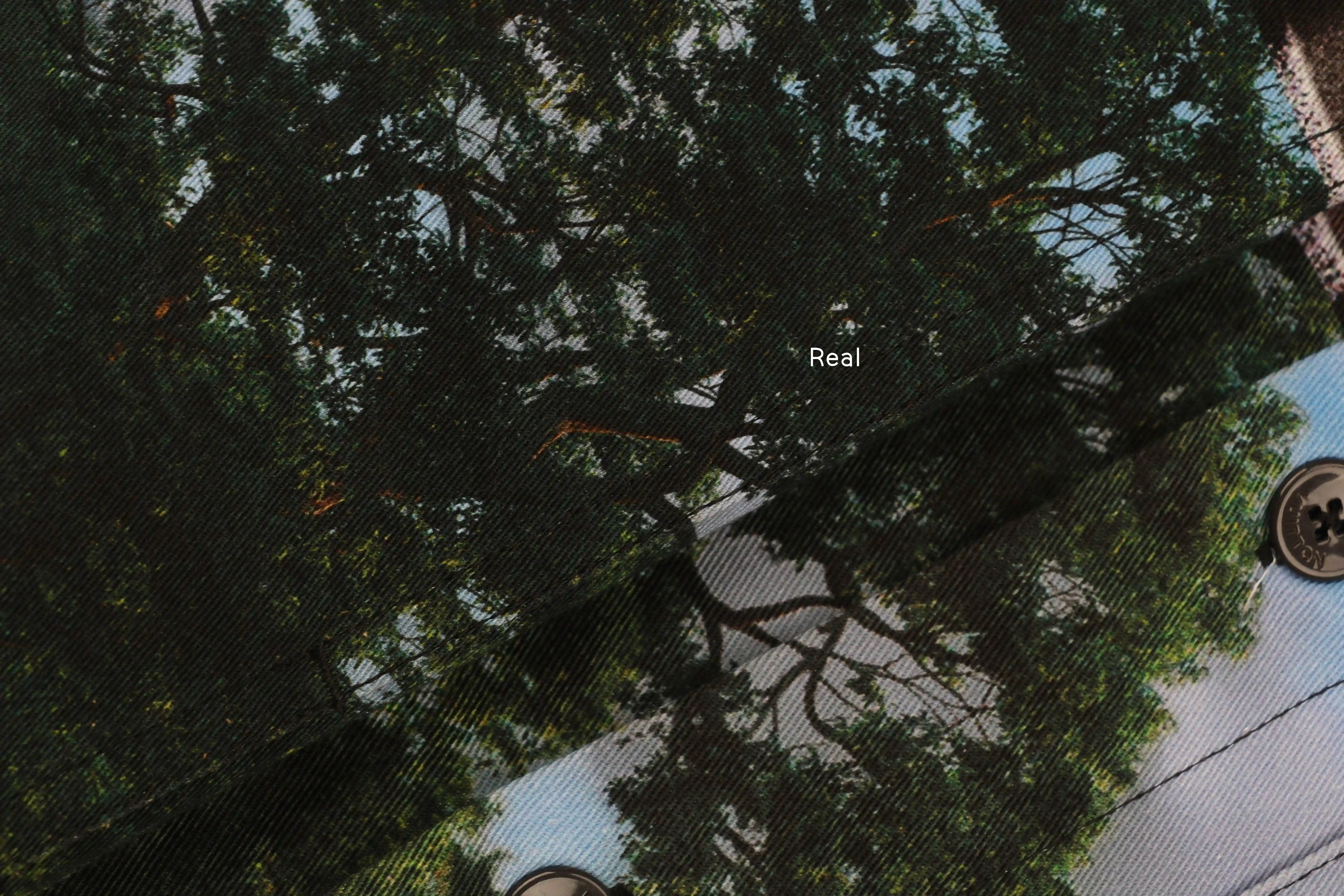 IMG_7726.webp
